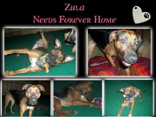 Zula