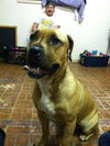 Holley