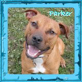 Parker