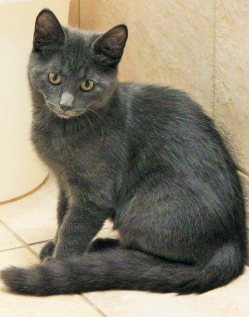 Micah