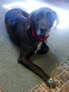 Jack