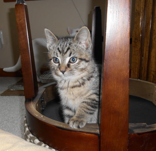 Charlie