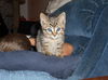 Charlie
