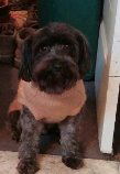 Jack