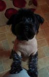 Jack