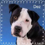 Dez