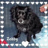 Zobby