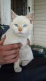 Casper
