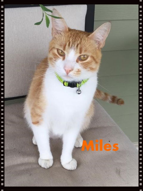 Miles
