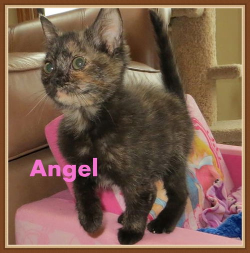 Angel