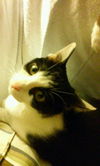 Zoey