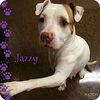 Jazzy