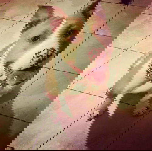 Zipper