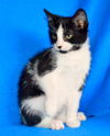 Duncan