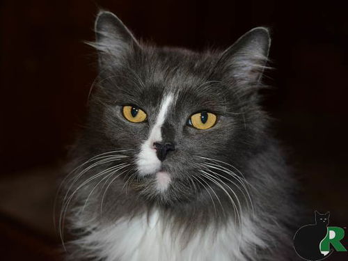 Smokey