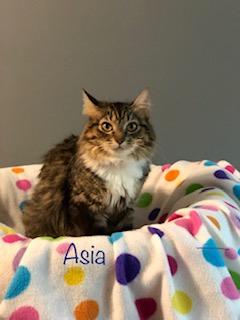 Asia