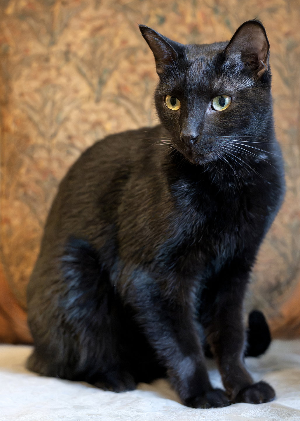 Waldorf
