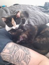 Silvie