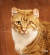 Fred