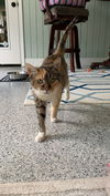 Molly
