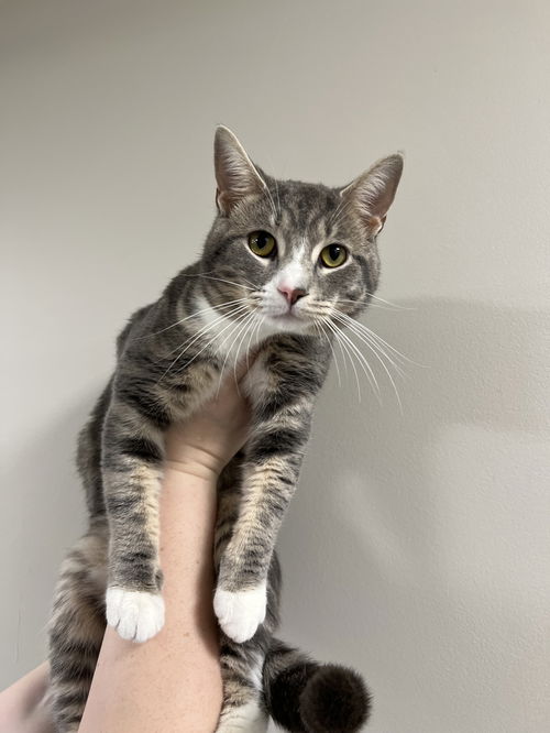 Tinker