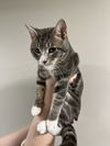 Tinker