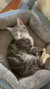 Tinker