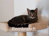 Rembrant