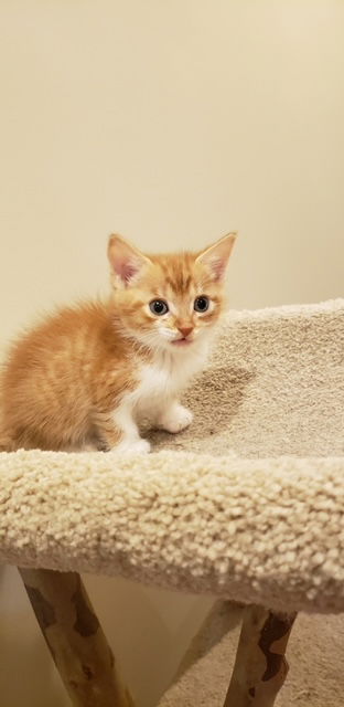 Solar