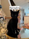 Spengler