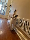 adoptable Cat in buford, GA named Tillie