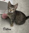 Dillon