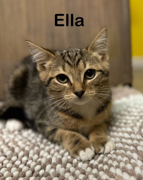 Ella