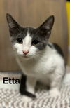 Etta