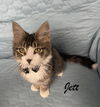 Jett