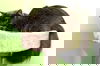 Gojo