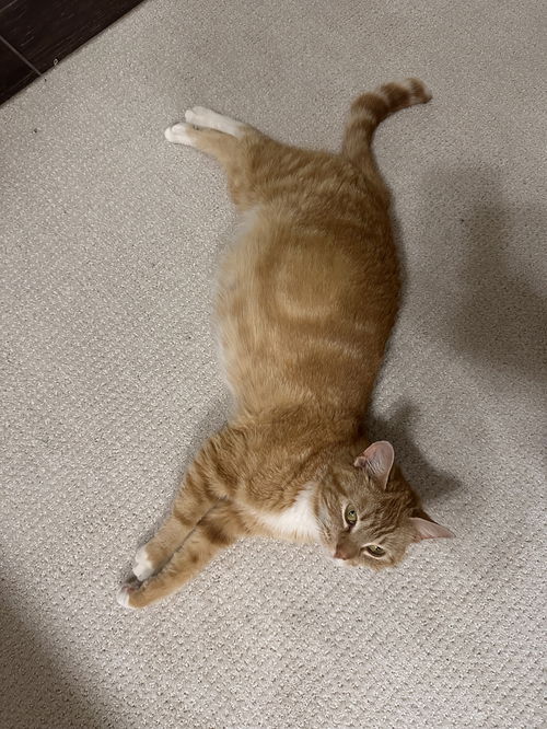 Nora