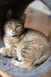 Marmie - Photo 2