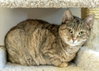 Marmie - Photo 3