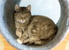 Marmie - Photo 5