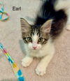 Earl