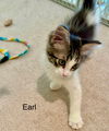 Earl