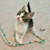 Earl
