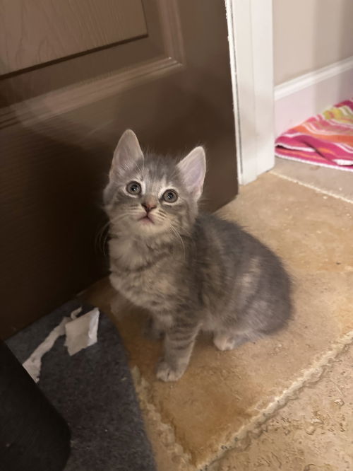Nimbus
