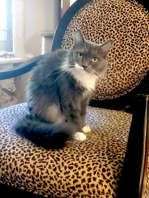 Kiki