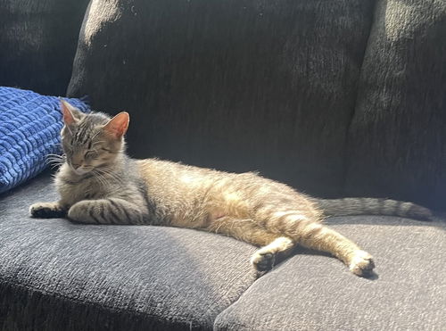Chloe