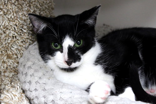 Venture