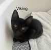 Viking