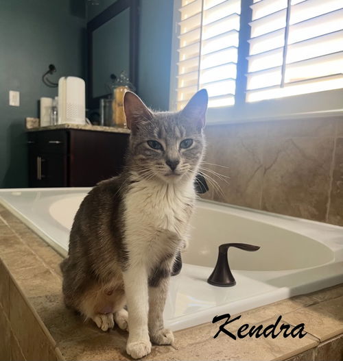 Kendra