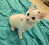 Eloise